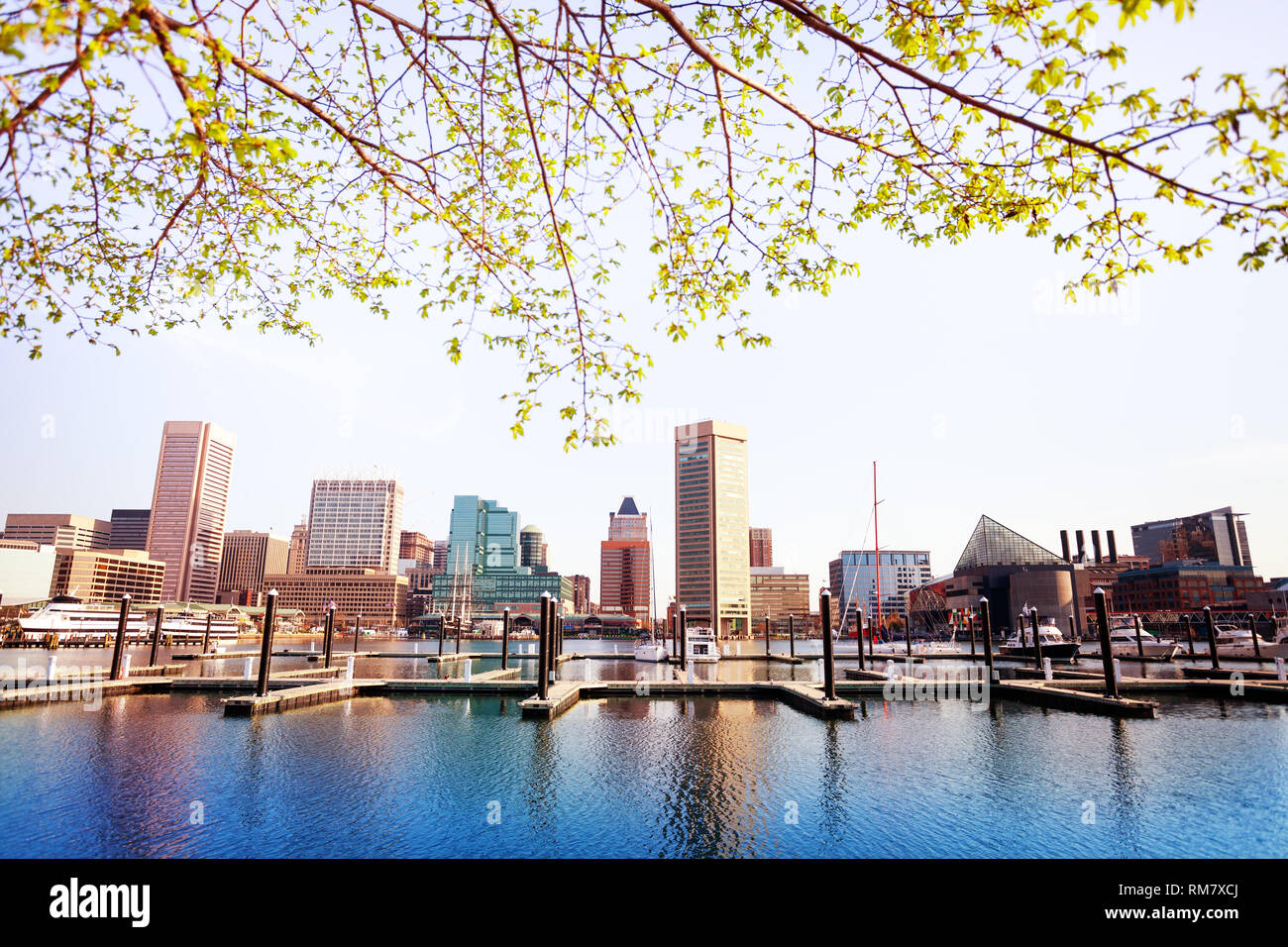 Inner Harbor de Baltimore et d'horizon, au printemps, USA Banque D'Images