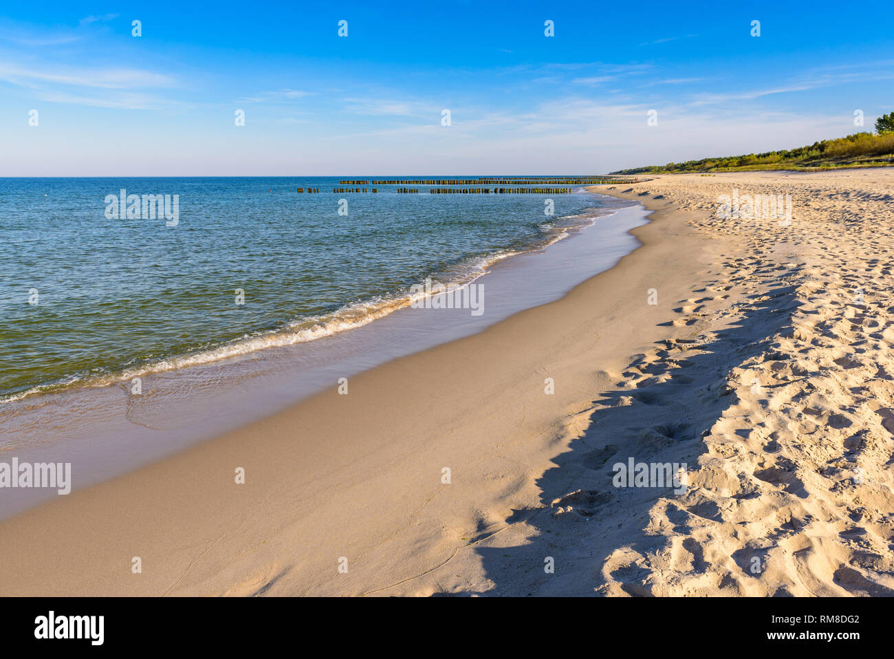 Beau littoral de la Mer Baltique avec plage de sable. Pologne Banque D'Images