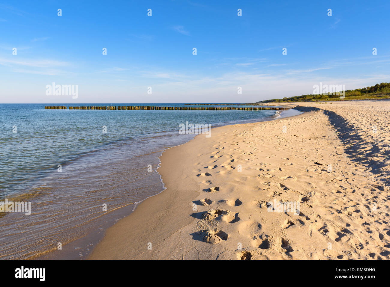 Beau littoral de la Mer Baltique avec plage de sable. Pologne Banque D'Images