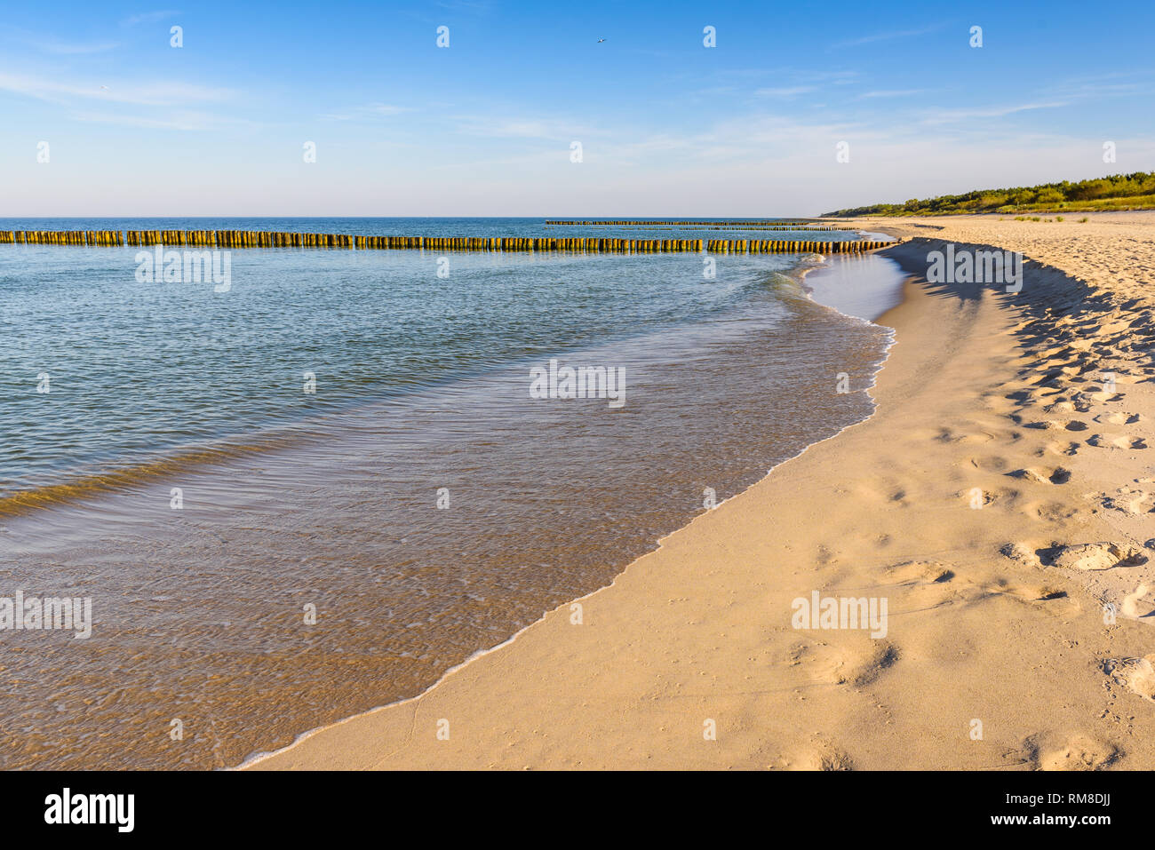 Beau littoral de la Mer Baltique avec plage de sable. Pologne Banque D'Images