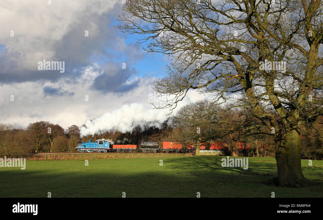 419 Réservoir Caley chefs passé Consall sur bois 10.2.19 sur l'Churnet Valley Railway. Banque D'Images