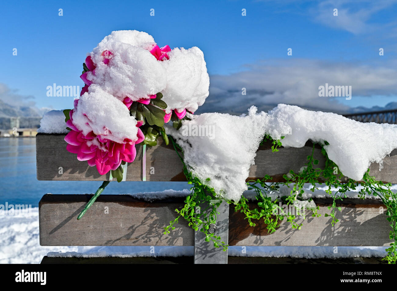 Fleurs en plastique memorial on park bench with snow Banque D'Images