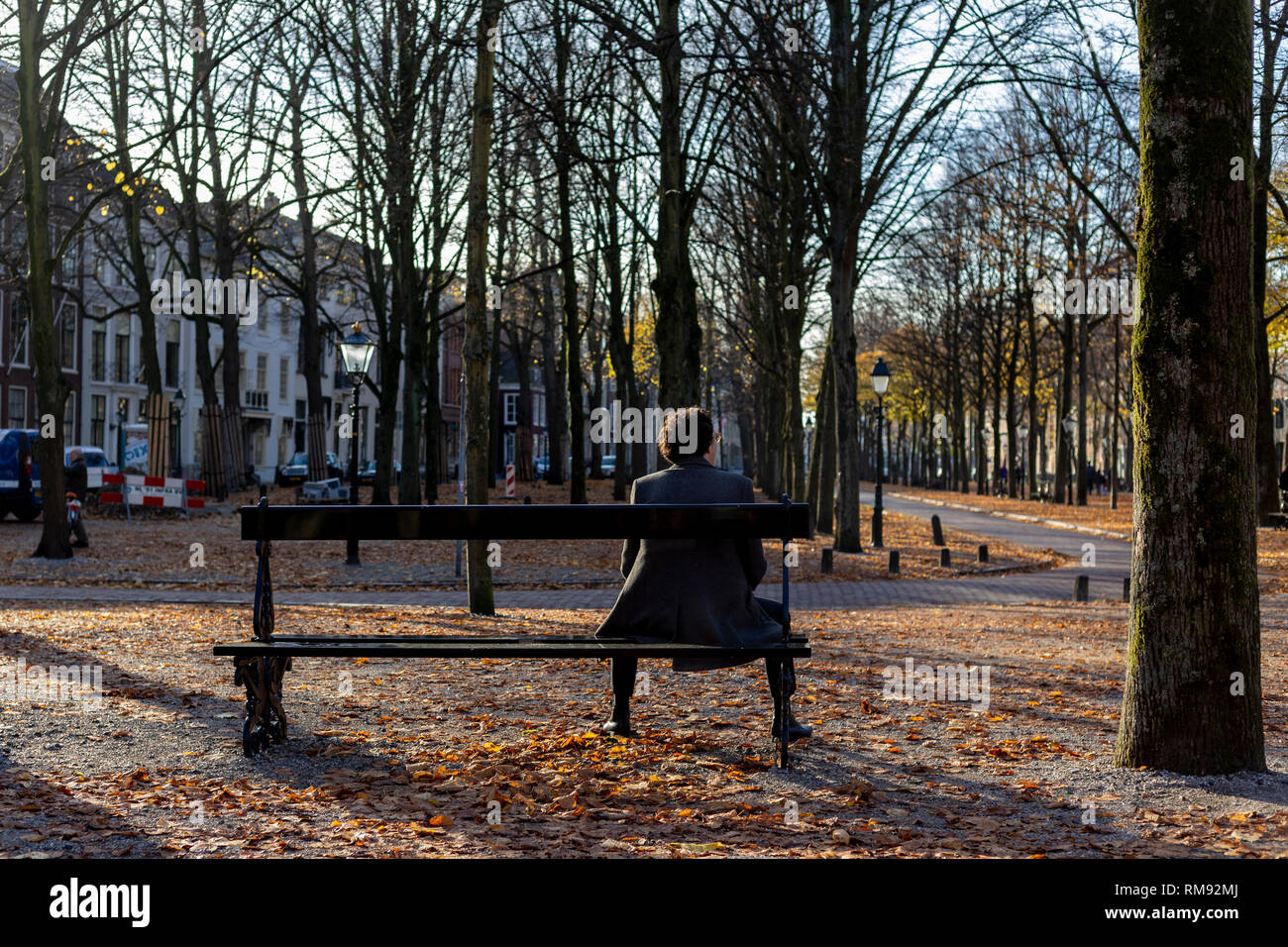 Homme assis sur un banc au soleil en contemplant dans un parc aux couleurs d'automne dans la ville de La Haye, Pays-Bas Banque D'Images