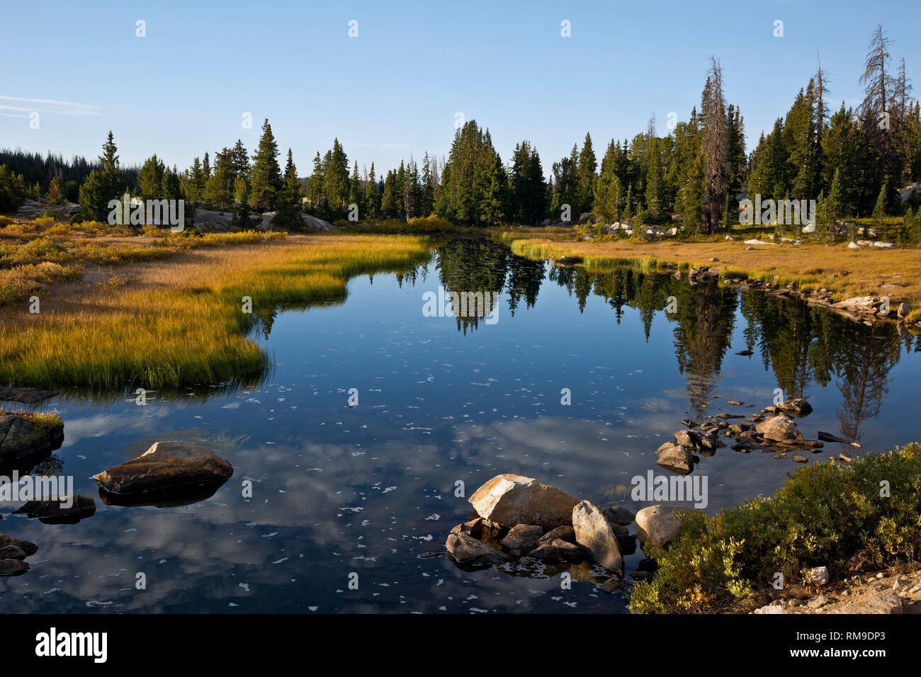 WY03717-00...WYOMING - Reflets dans un petit étang transmis le long de l'autoroute Beartooth dans la forêt nationale de Shoshone. Banque D'Images