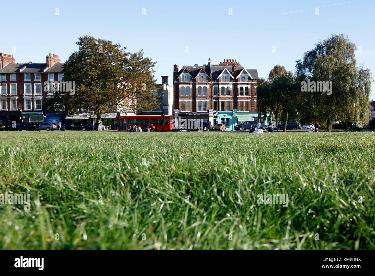 Vue sur Blackheath communes à Royal Parade, village de Blackheath, Londres, UK Banque D'Images