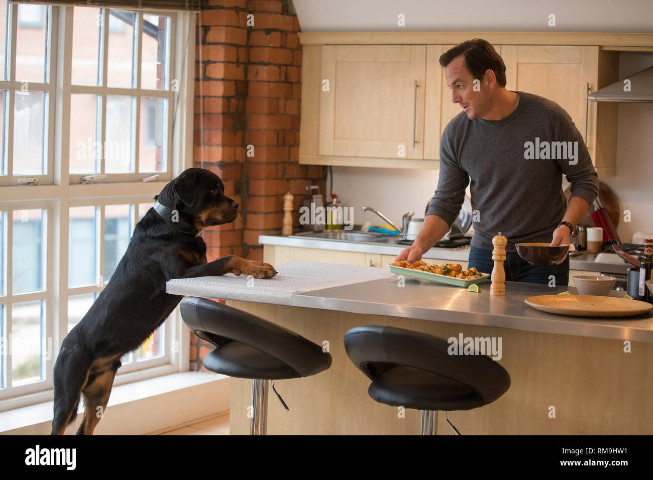 DATE DE SORTIE : Mai 18, 2018 TITRE : Chiens d'exposition STUDIO : Riverstone Photos Réalisateur : Raja Gosnell RÉSUMÉ : Max, un macho, solitaires Rottweiler chien policier est ordonnée d'aller undercover comme un chien d'exposition primped dans un prestigieux Dog Show, avec son partenaire humain, pour éviter un désastre de se produire. Avec : Arnett, Ludacris, Natasha Lyonne. (Crédit Image : © Photos Riverstone/Divertissement Photos) Banque D'Images