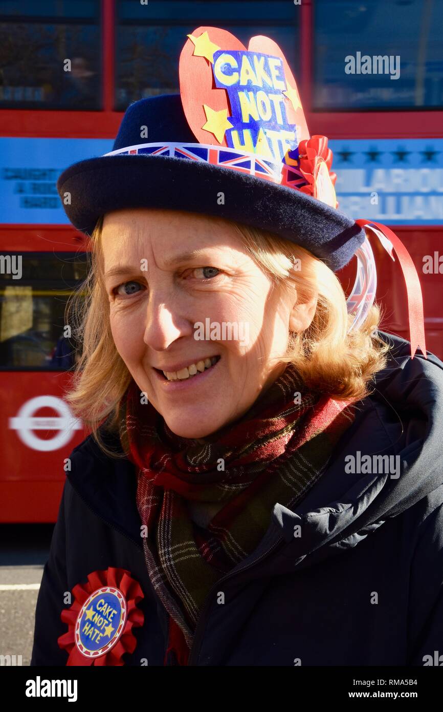 Londres, Royaume-Uni. 14 Février, 2019. Brexit Pro Remainers Anti UE mis en scène un 'gâteau qui n'a pas la haine" demo.Chambres du Parlement, Londres.UK Crédit : michael melia/Alamy Live News Banque D'Images