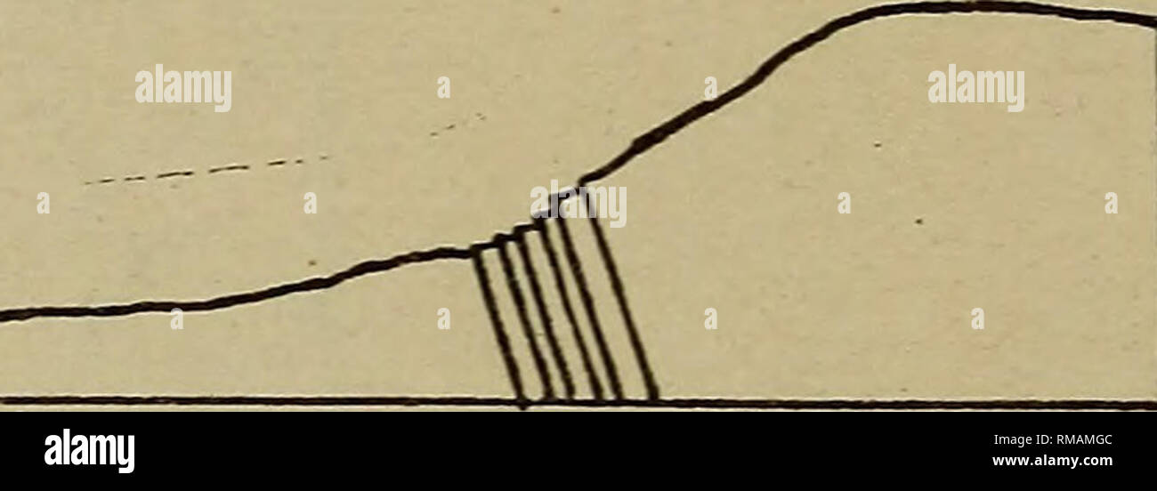 . Rapport annuel. New York State Museum ; Sciences ; Sciences. 10 NEW YORK STATE MUSEUM est et l'ouest par la fragilité des schistes noirs avec une structure quelque peu- vineuse [voir pi. 2]. Près de la base de cette pente, ou d'environ 20 à 60 pieds au-dessus du niveau de la 4e rue, la surface de la roche apparaît dans une zone glaciaire et postglaciaire cassés par défauts, ou du moins par les défauts qui interrompent la glaciation rock surface. La grève des grès et d'ardoise est ici g° est de l'Amérique, et l'approche des stries glaciaires la banque sur un cours de l'art. 21 ° e. Le dip des ardoises est d'environ 400 e, où pas. Banque D'Images