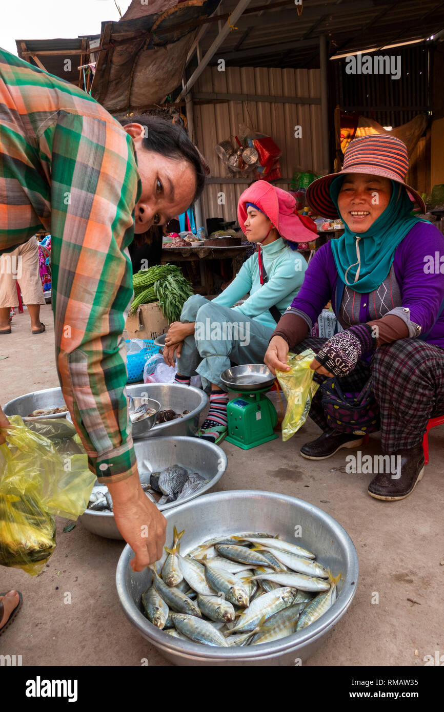 La province de Kampot, Cambodge, Kampot, poisson Island Road, petit marché local, les femmes vendent du poisson pêché localement Banque D'Images
