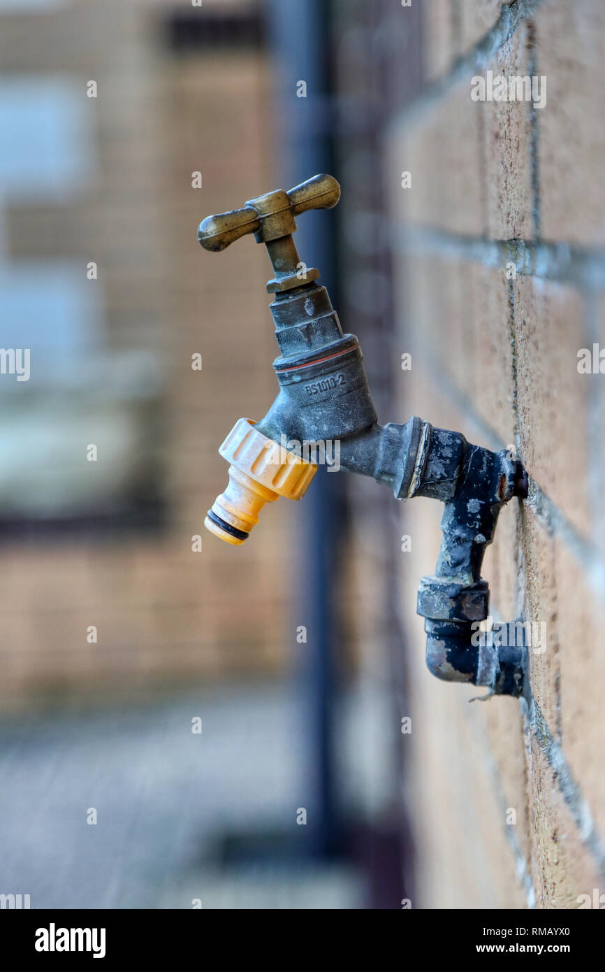 Appuyez sur le jardin dans le sud du Pays de Galles UK Banque D'Images