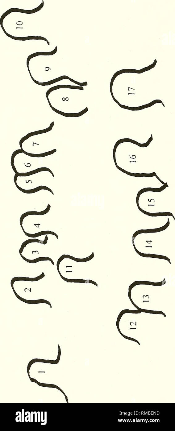 Rapport Annuel La Societe Occidentale D Malacologists Mollusques Les Mollusques Amp X O O U 4j N Cl O G 2 2 5 G I C Rapport Annuel La Societe Occidentale D Malacologists Mollusques Les Mollusques Amp X O O U 4j N Cl O G 2 2 5 G I C