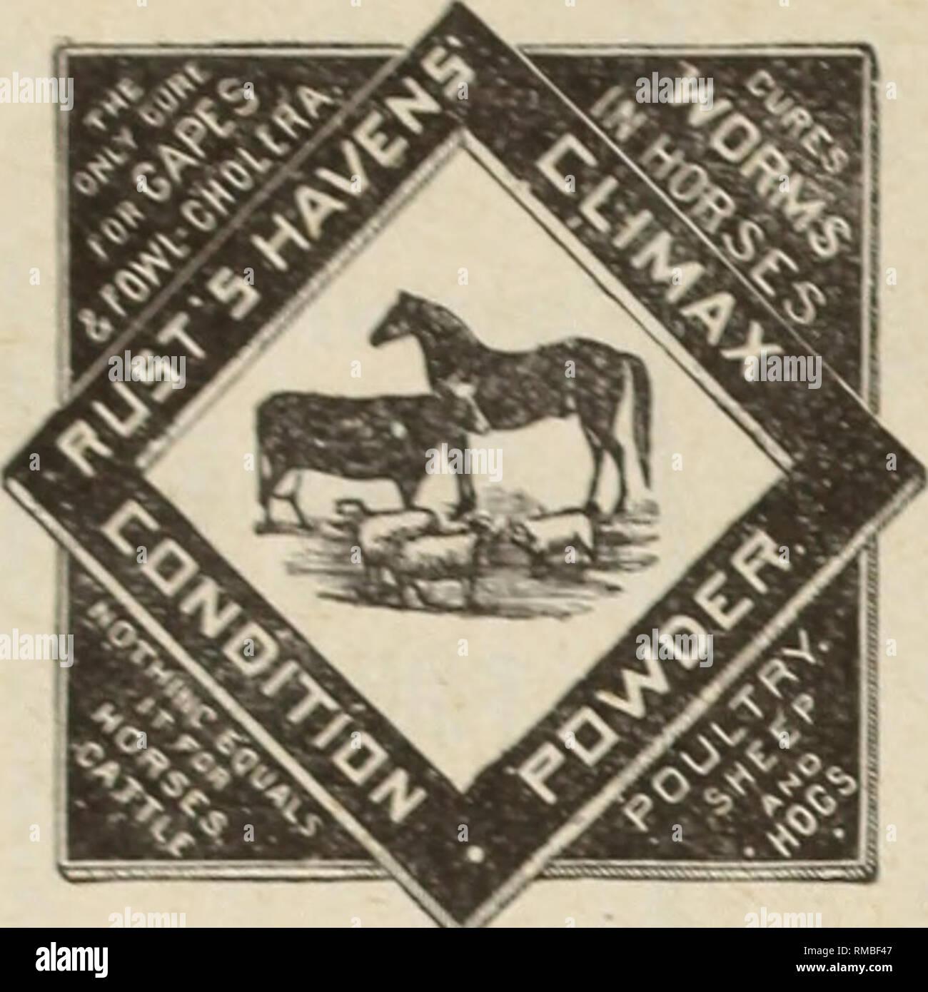 Catalogue Descriptif Annuel 1895 Graines Les Graines De