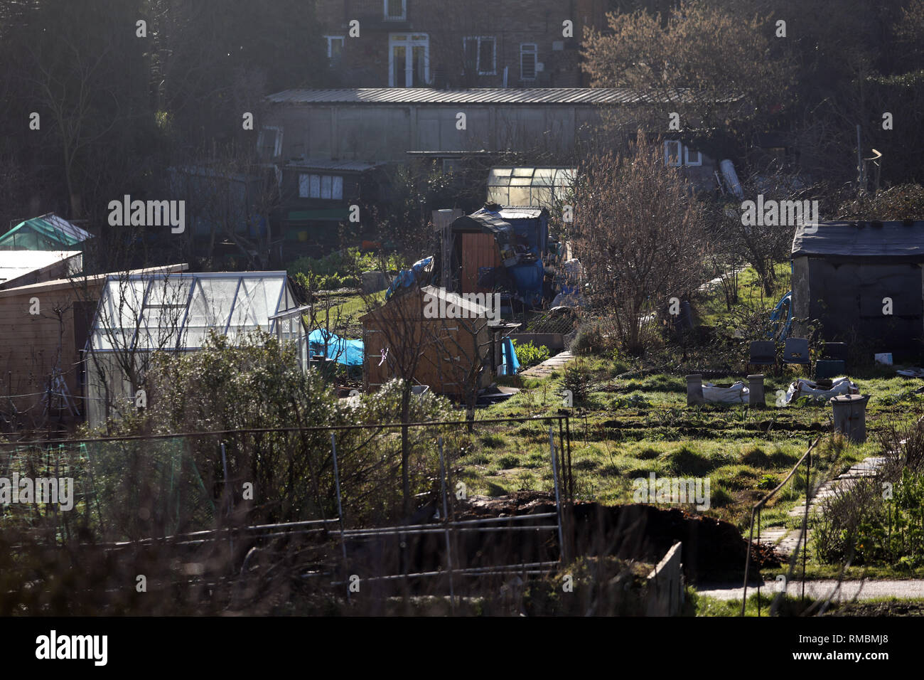 Jeremy Corbyn's East Finchley allotissements dans photo par Gavin Rodgers/ Pixel8000 Banque D'Images