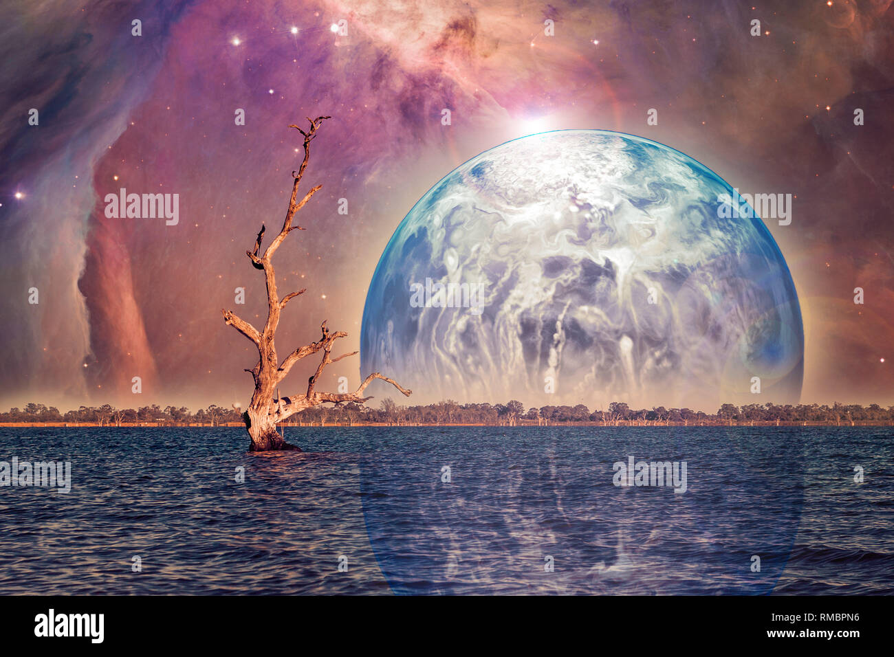 L Irreel Paysage Exotiques Arbre Nu Dans L Eau Avec L Augmentation De La Planete Elements De Cette Image Sont Meublees Par La Nasa Photo Stock Alamy L Irreel Paysage Exotiques Arbre Nu Dans L Eau Avec L Augmentation De La Planete Elements De Cette Image Sont Meublees Par La Nasa Photo Stock Alamy