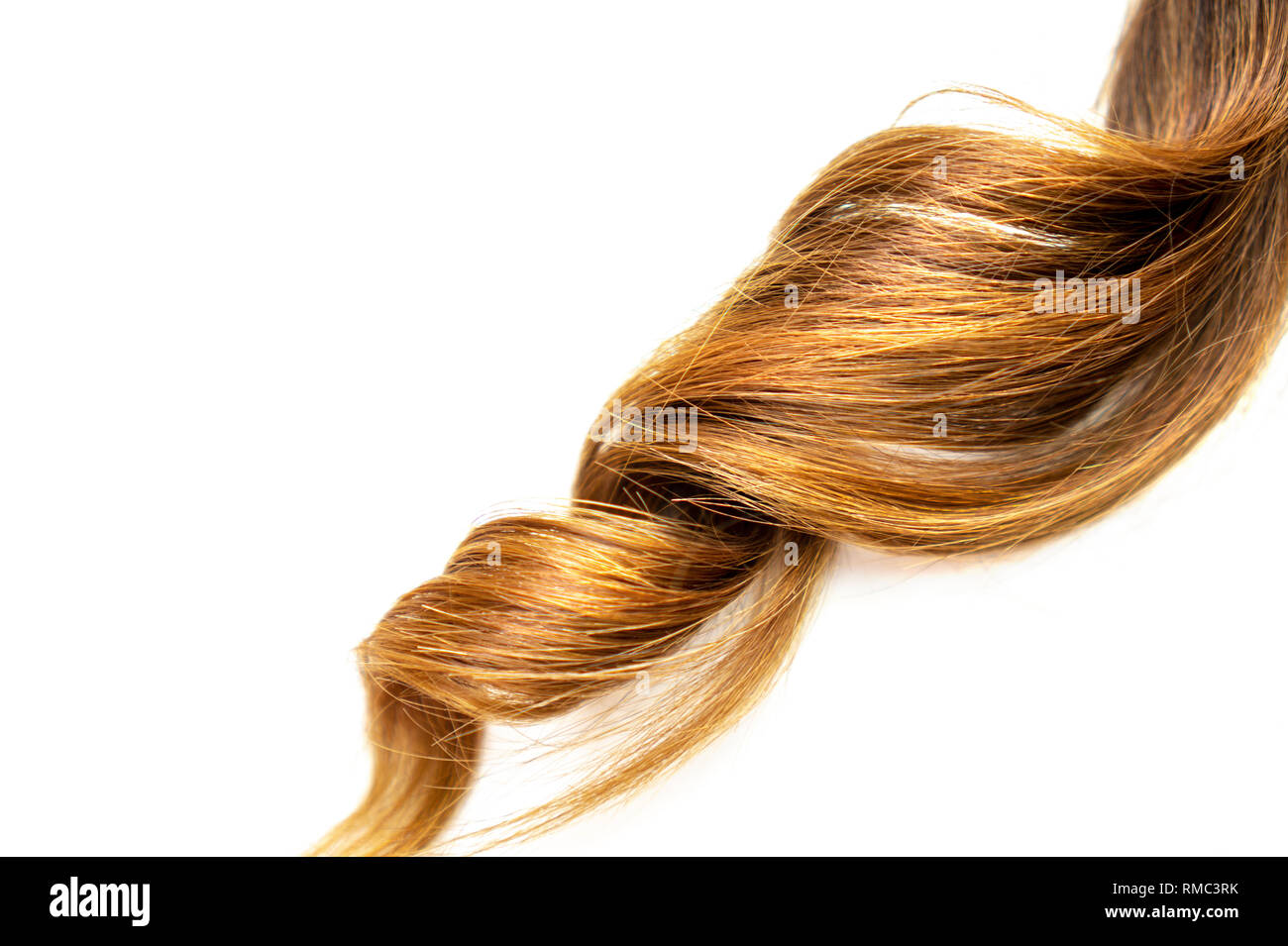 Morceau de cheveux brillants bouclés brun sur blanc fond isolé Banque D'Images