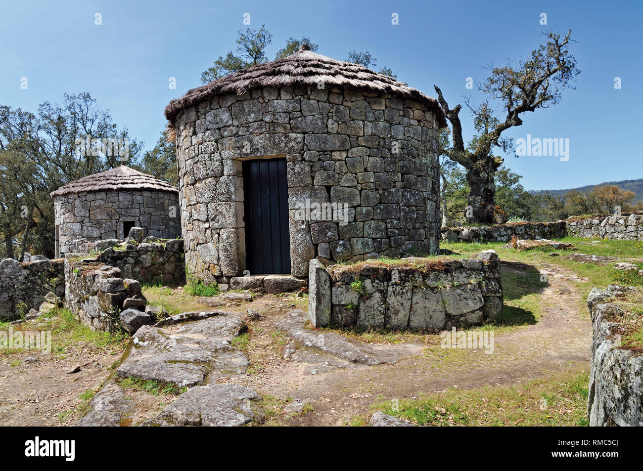 Castro reconstruit maisons en pierre de l'ancien règlement celtique Citania de Briteiros Banque D'Images