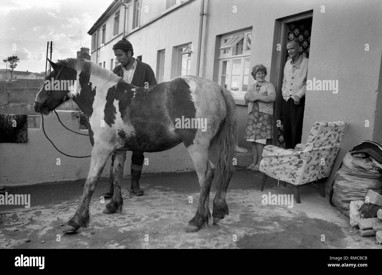 Famille irlandaise des années 1970 avec un cheval urbain d'animal de compagnie dans la cour avant de leur maison. Limerick, dans le comté de Limerick, Eire. Côte ouest de l'Irlande du Sud 70 le domaine récemment construit de South Hill. 1979 HOMER SYKES Banque D'Images