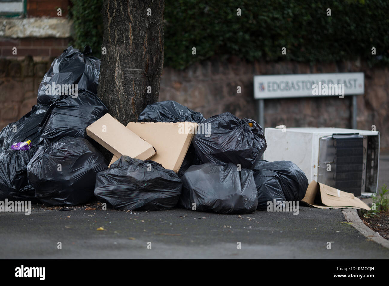 Des sacs poubelle entassés à côté d'un arbre en Edgebaston Road East, Birmingham, comme un syndicat a échoué dans son offre d'une injonction de la Haute Cour temporaire dans un long conflit entre les éboueurs et Birmingham City Council. Banque D'Images