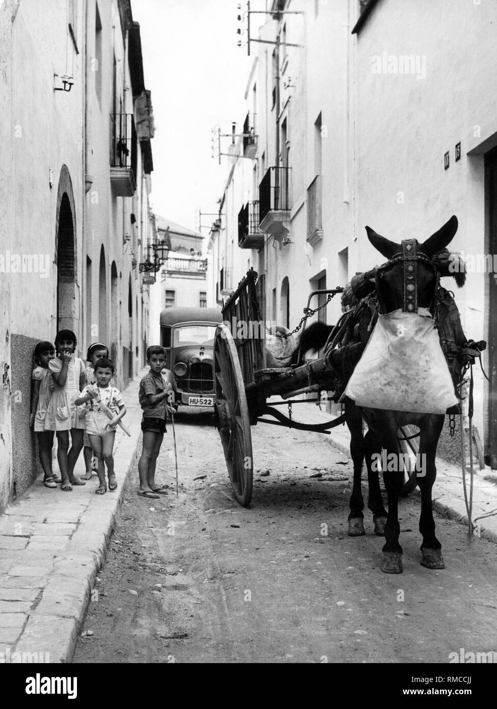 Les enfants dans une rue de la ville espagnole Villanueva a côté d'un âne. (Photo non datée) Banque D'Images