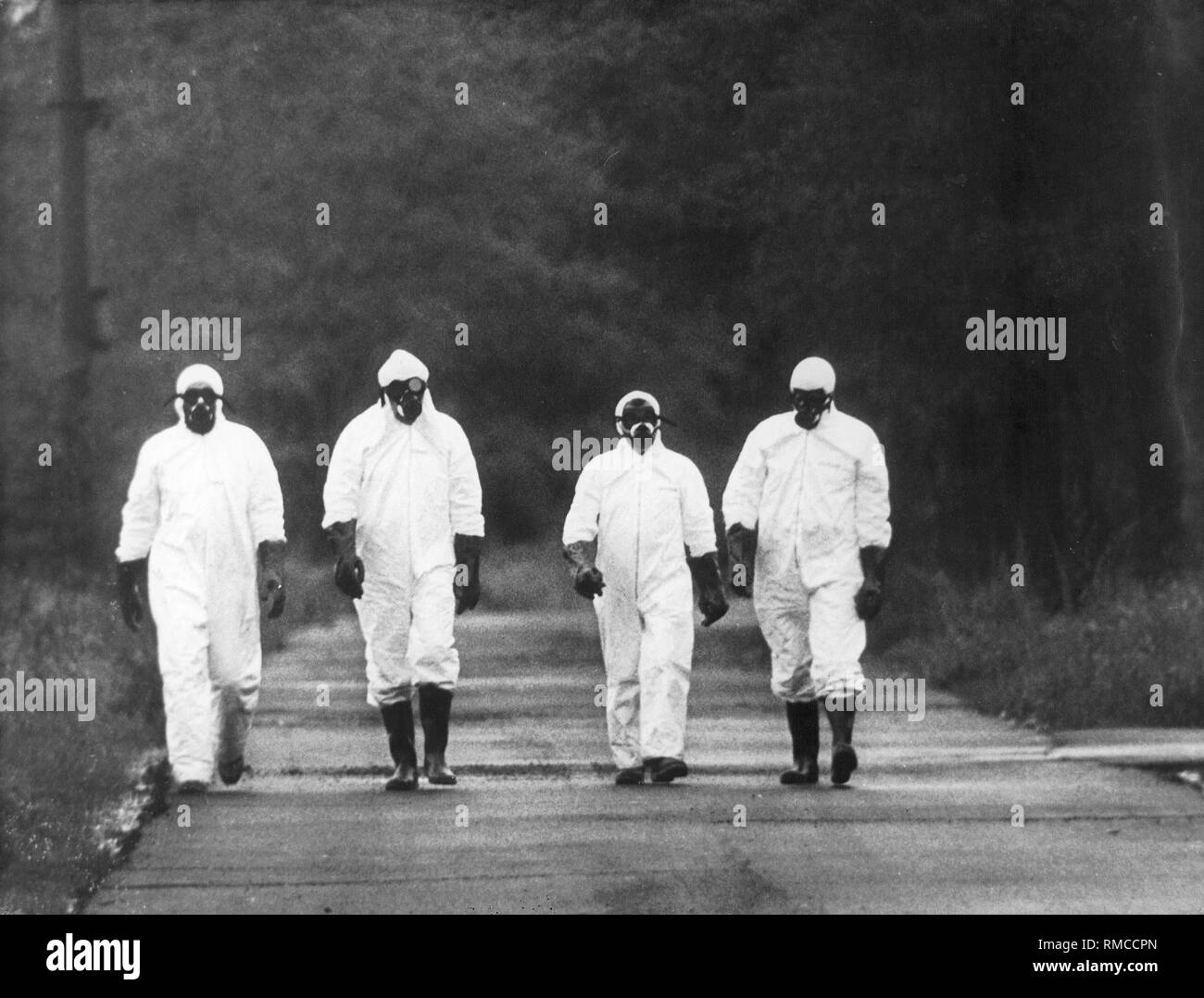 Sur 10.07.1976, l'usine chimique Icmesa, appartenant au groupe suisse Hoffmann La Roche, échappé des vapeurs de la dioxine, provoquant quelques 75 000 animaux à mourir. Banque D'Images