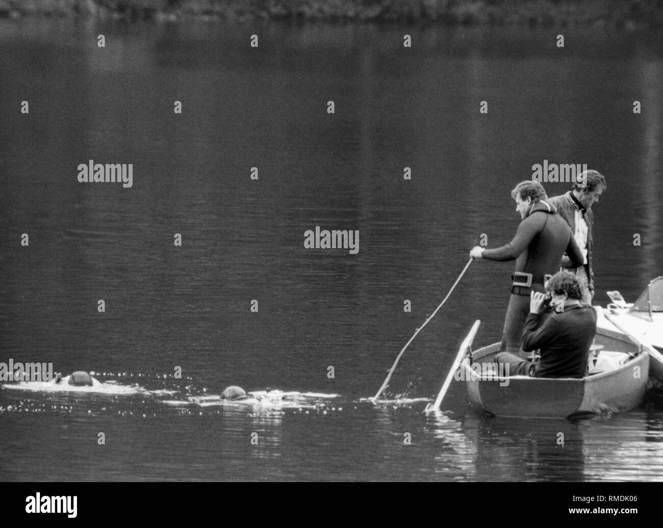 Le plongeur au Toplitzsee dans le Salzkammergut, qui devient la cible des chasseurs de trésor en raison de la livre et de faux documents nazis note qu'il y étaient submergées après la fin de la guerre. (Photo non datée) Banque D'Images