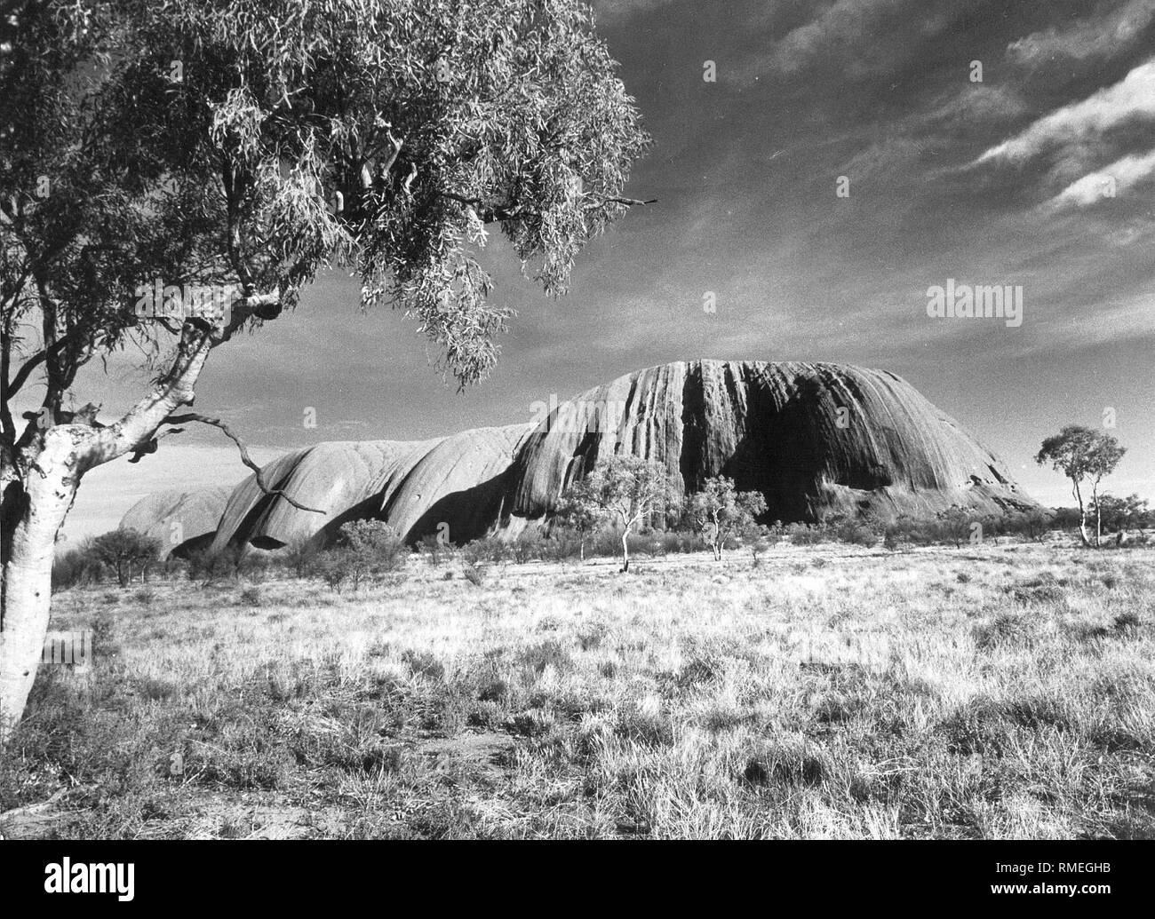 L'Ayers Rock dans le Parc National d'Uluru. Banque D'Images