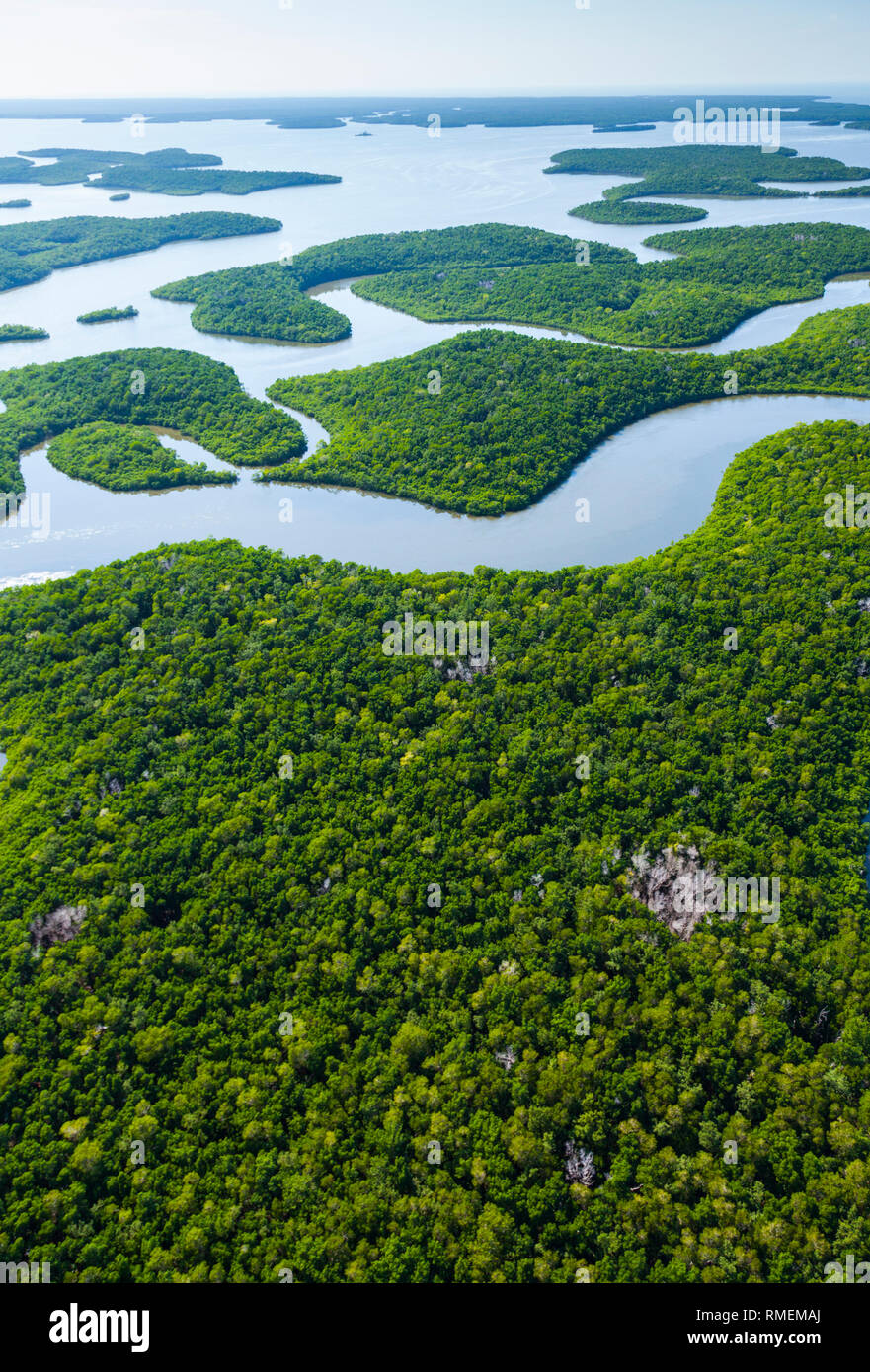 Vue aérienne, Everglades Natuional Park, Florida, USA, AMÉRIQUE LATINE Banque D'Images