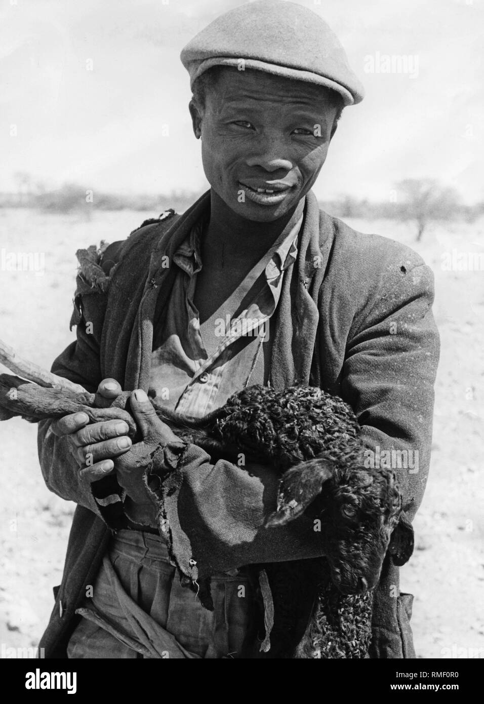 Le Sud-Ouest africain (Namibie) : aujourd'hui : l'image montre un agriculteur avec moutons Karakul. Banque D'Images