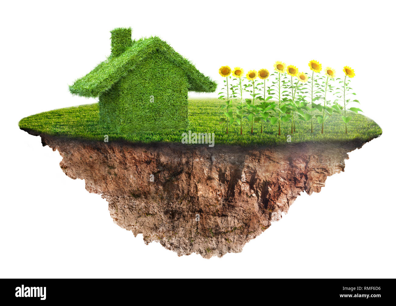 Eco-friendly house concept fait d'herbe Banque D'Images