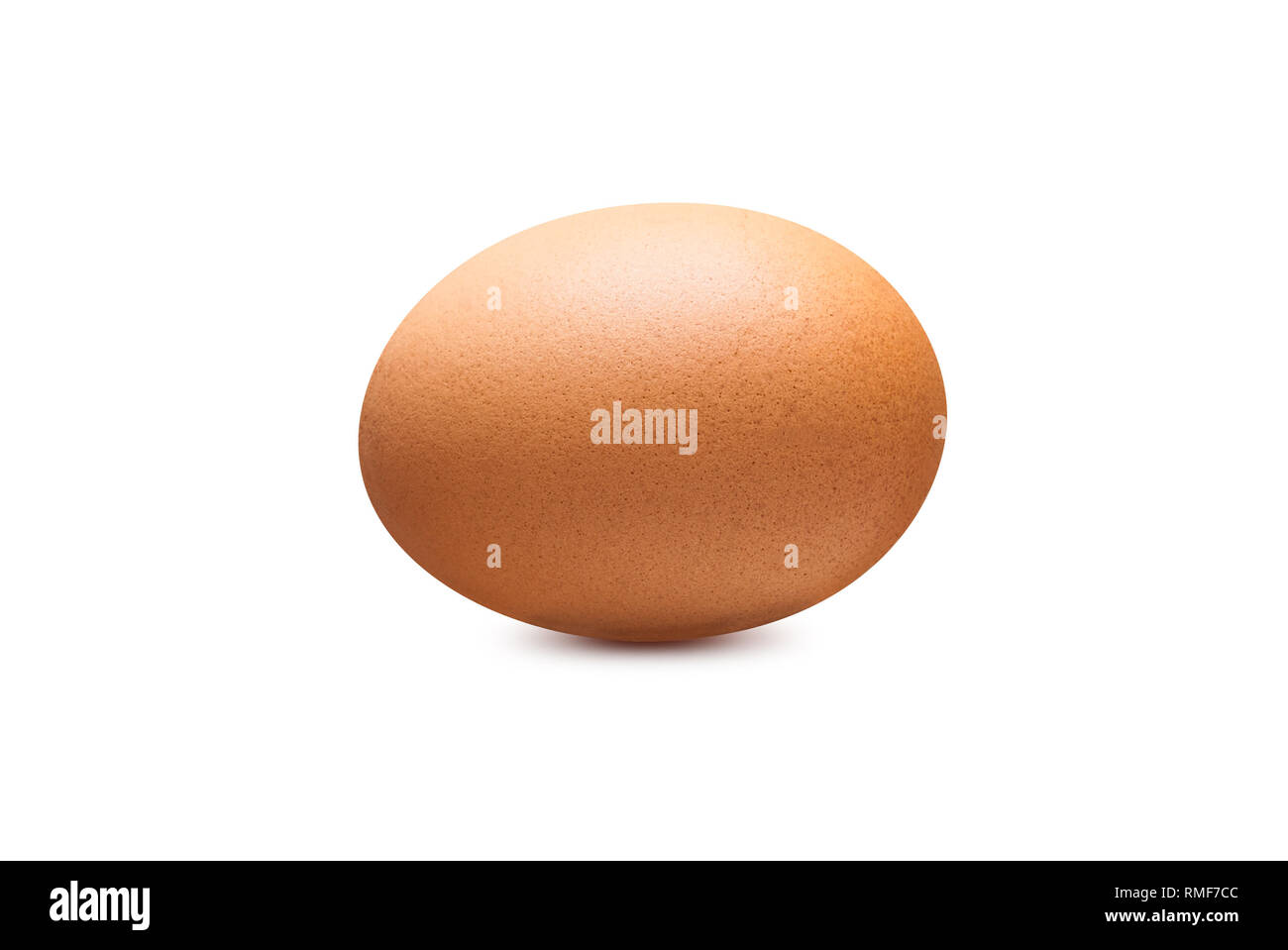 Oeuf de poule unique couleur marron isolé sur fond blanc Banque D'Images