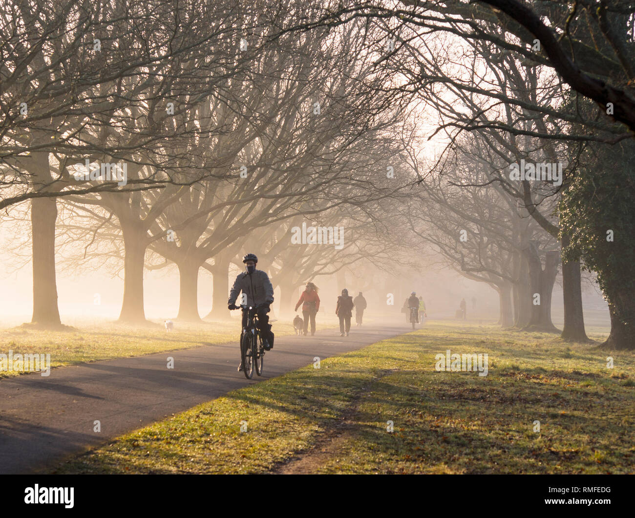 Commune de Southampton. 15 févr. 2019. Météo France : haute pression continue à dominer le temps, résultant en un début de journée brumeuse pour cylists et Dog Walkers sur Southampton Common. Credit : James Hughes/Alamy Live News Banque D'Images