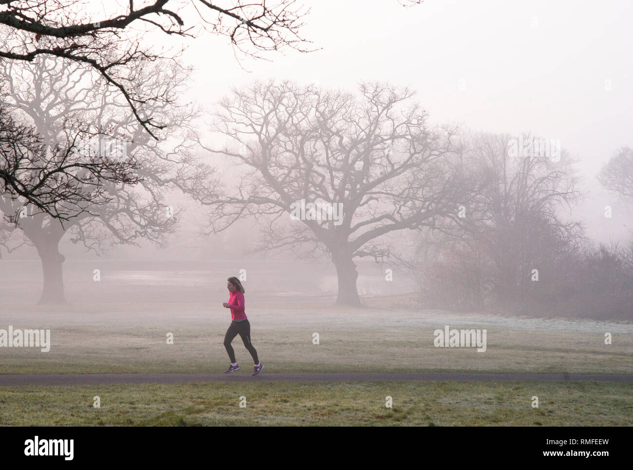 Commune de Southampton. 15 févr. 2019. Météo France : haute pression continue à dominer le temps, résultant en une brume de commencer la journée pour un jogger sur la commune de Southampton. Credit : James Hughes/Alamy Live News Banque D'Images