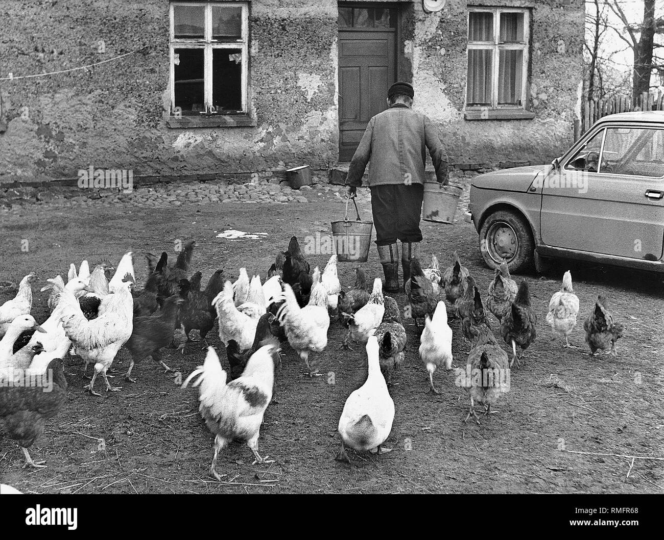 La vie à la campagne dans l'Est de la Prusse. Banque D'Images