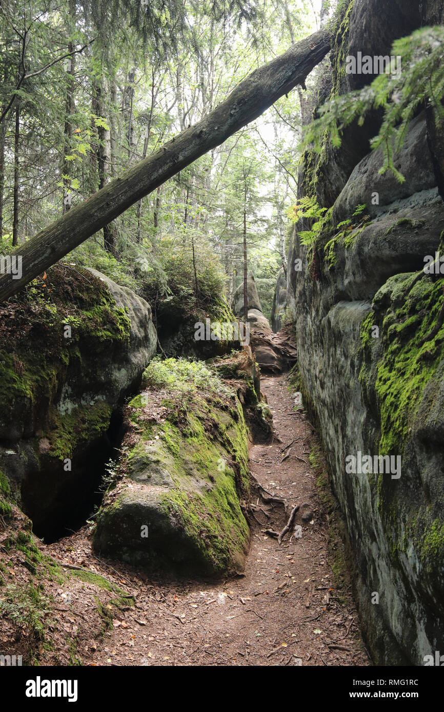 Sentier de randonnée dans la réserve naturelle des murs de Broumov, PLA, Broumov République Tchèque Banque D'Images