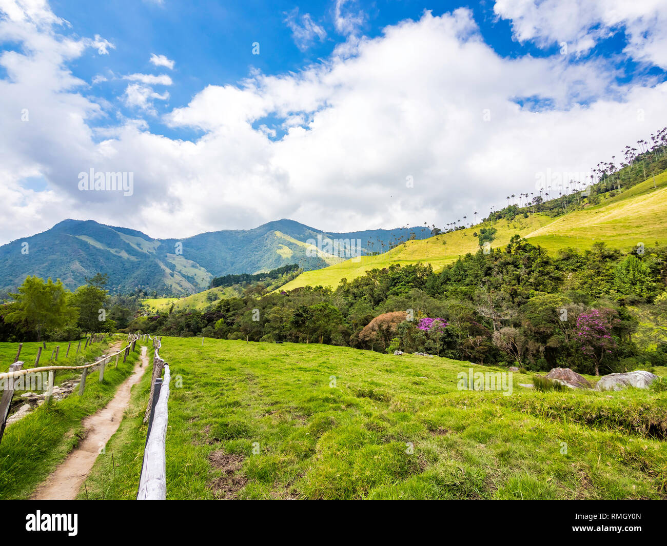 Belle journée de randonnée paysage de la vallée de Cocora dans le Salento, Colombie Banque D'Images