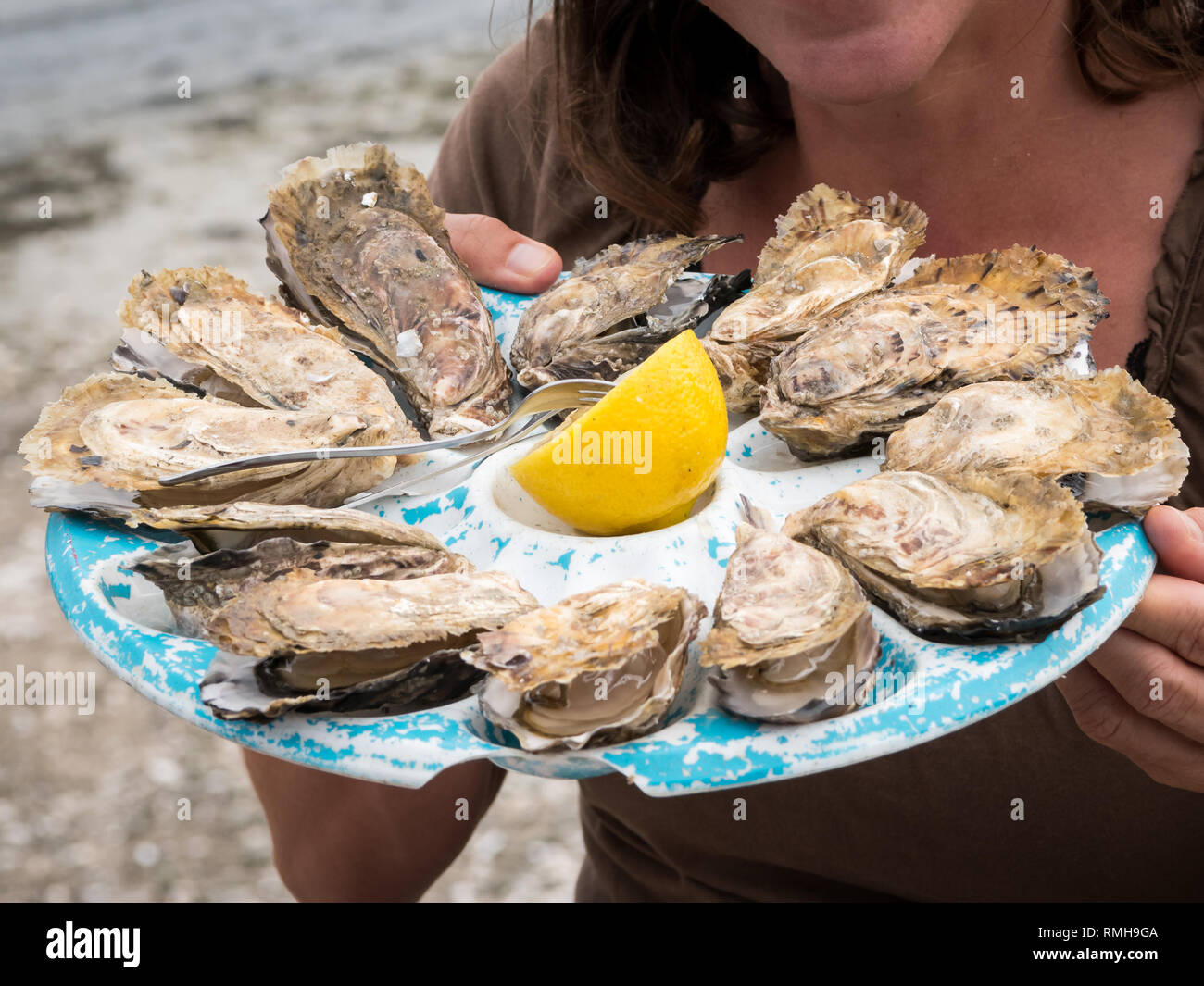 Libre d'une jeune fille tenant une plaque avec les huîtres et un citron (Normandie, France) Banque D'Images
