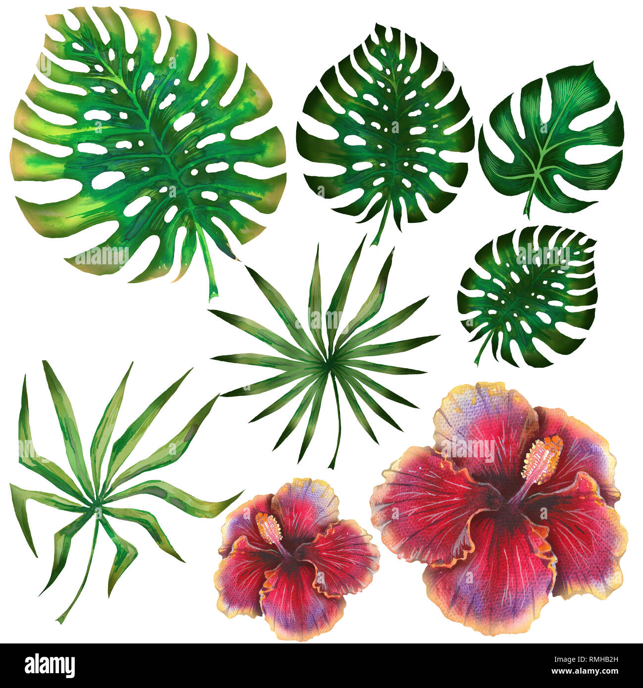 Aquarelle de l'été ensemble tropical pour la conception d'un bandeau ou d'un flyer avec des feuilles de palmier, de l'hibiscus Banque D'Images