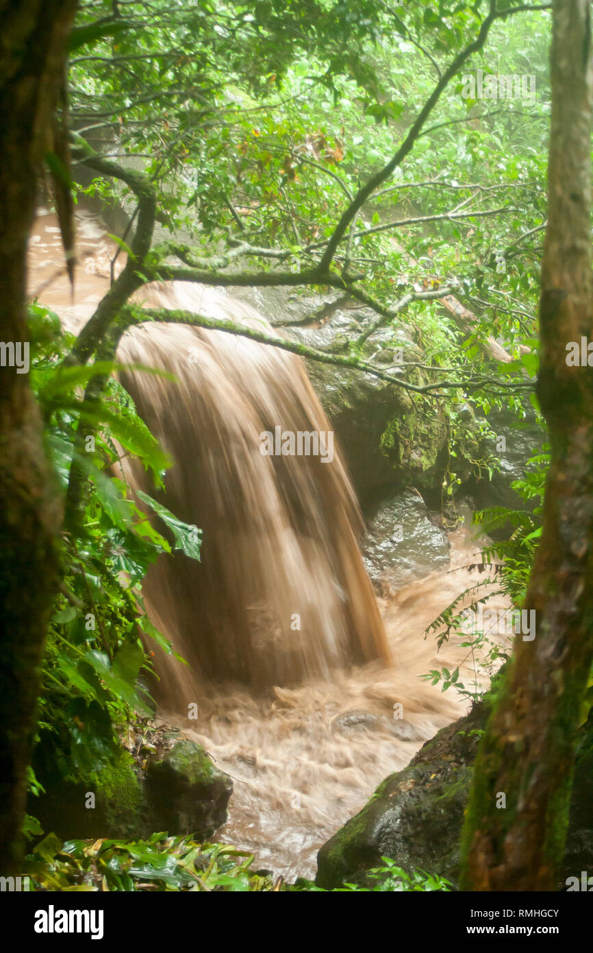 Coulée de boue en raison de fortes pluies Banque D'Images