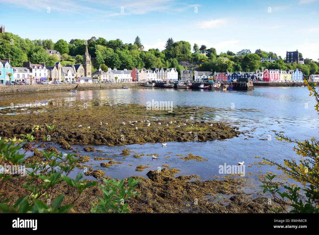 Vue sur la ville de l'autre côté du port, Tobermory, Isle of Mull, Inner Hebrides, Argyll et Bute, Écosse, Royaume-Uni Banque D'Images