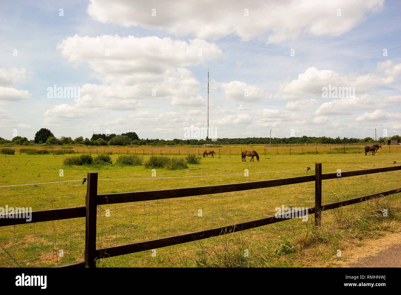 Sandy Heath Transmitter vu de Potton, Bedfordshire, Royaume-Uni Banque D'Images