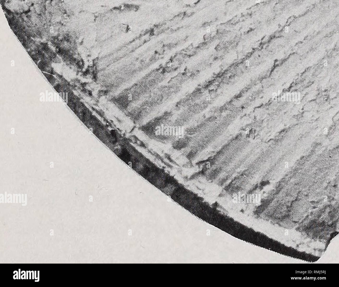 . Annales du Musée de l'Afrique du Sud. Annale van die Suid-Afrikaanse Museum. . / ^ c. 4-&gt ; c c o *3 ?4-&gt ; 3-1 O &Lt ;*H T3 o bO CO c 03 ' % -i-i o -d 43 t" M *j c 5 'I s mort) 0 00 o3 00 3 e  0) o u -c 3 £ C fsf &Lt ;* o o r- r- oo r CO^ r- uu *5 zz ss o PQ PQ sur t-1 t Co SUR• ?- 43 o 17303 ^ N 203 o J- ^ •000 ra. "&Lt;3 bo o p" pour un u. 43 U o -t- ?s ^ &Lt ; o M E. Veuillez noter que ces images sont extraites de la page numérisée des images qui peuvent avoir été retouchées numériquement pour plus de lisibilité - coloration et l'aspect de ces illustrations ne peut pas parfaitement ressembler à l'œuvre originale.. Sout Banque D'Images