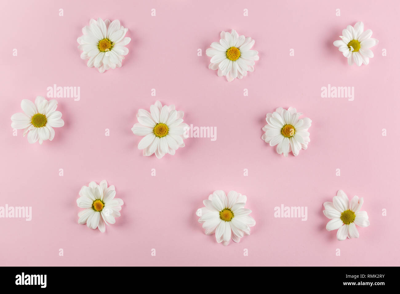 Carte postale pour la Journée de la femme. Les fleurs du printemps. Banque D'Images