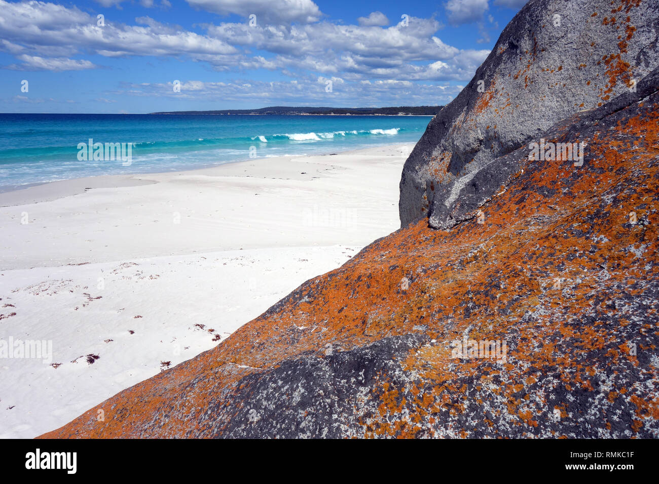 Lichen orange sur les rochers côtiers, Taylors Beach, Bay of Fires, Tasmanie, Australie Banque D'Images