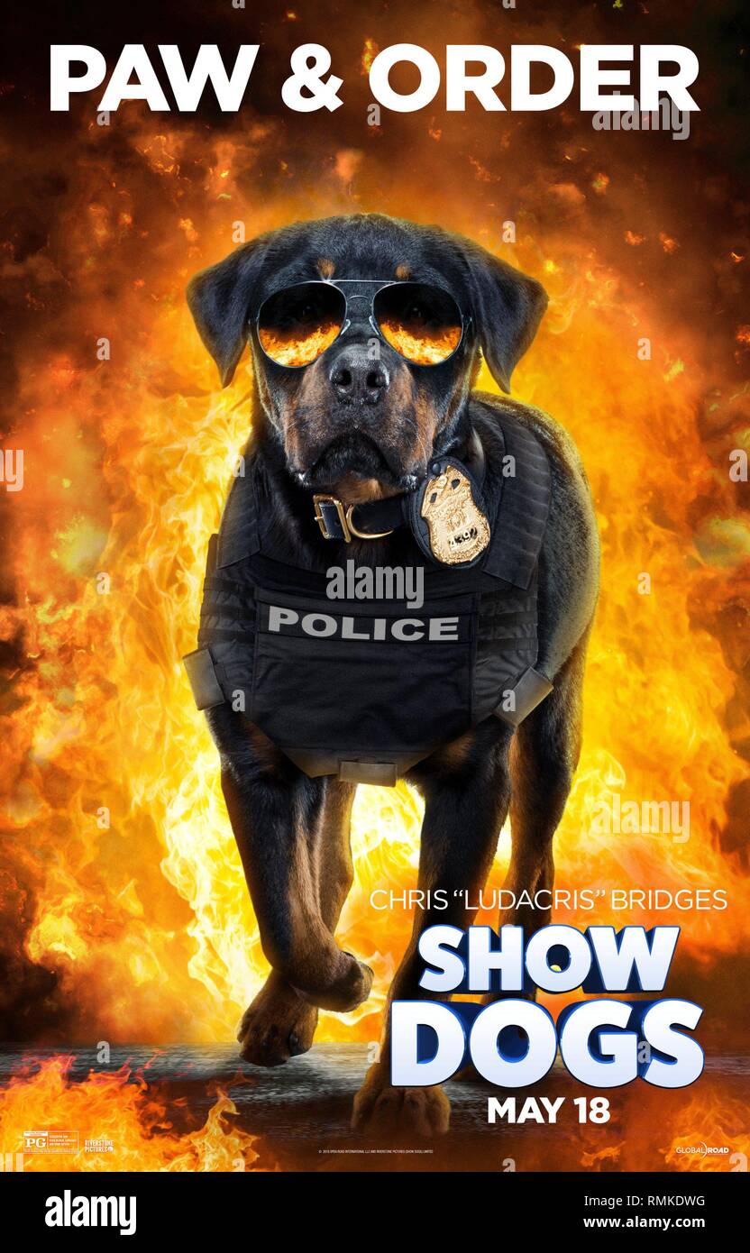 DATE DE SORTIE : Mai 18, 2018 TITRE : Chiens d'exposition STUDIO : Riverstone Photos Réalisateur : Raja Gosnell RÉSUMÉ : Max, un macho, solitaires Rottweiler chien policier est ordonnée d'aller undercover comme un chien d'exposition primped dans un prestigieux Dog Show, avec son partenaire humain, pour éviter un désastre de se produire. Avec : Arnett, Ludacris, Natasha Lyonne. (Crédit Image : © Photos Riverstone/Divertissement Photos) Banque D'Images