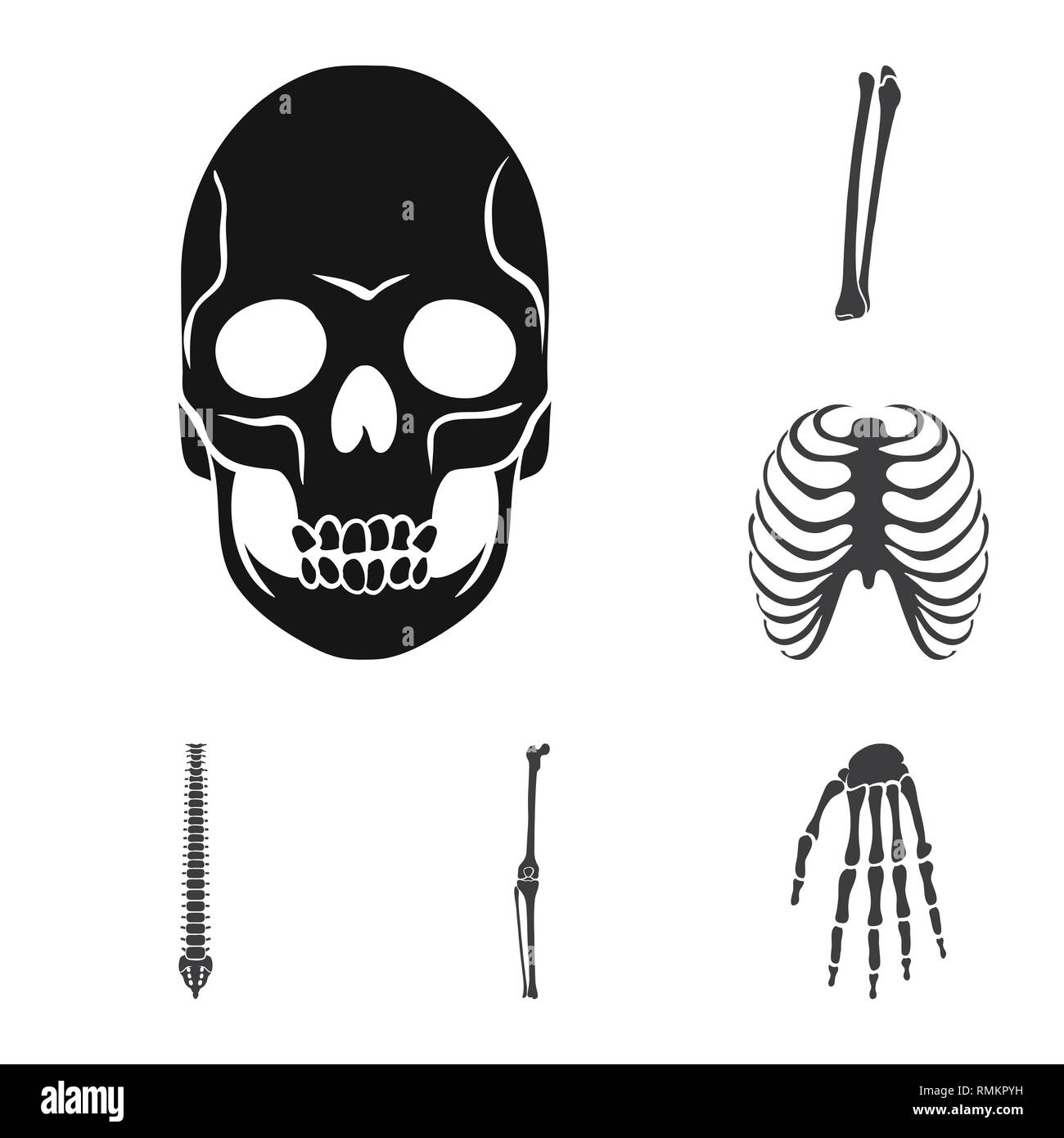 Crâne,fémur,nervure, genou,poignet,la mort,dos,cage,joints,main,monster,,jambe,xray chiropractic,calcium,ménisque,le mal,body,horreur,structure,base,tibia,moelle,foot,tatouage,bras,péroné,sternum,biologie,ostéoporose,medical,squelette anatomie osseuse,,des,organes,médecine,clinique,,set,icône,,illustration,collection,isolé,design,graphisme,élément,signer,Black,de simples vecteurs vecteur , Illustration de Vecteur