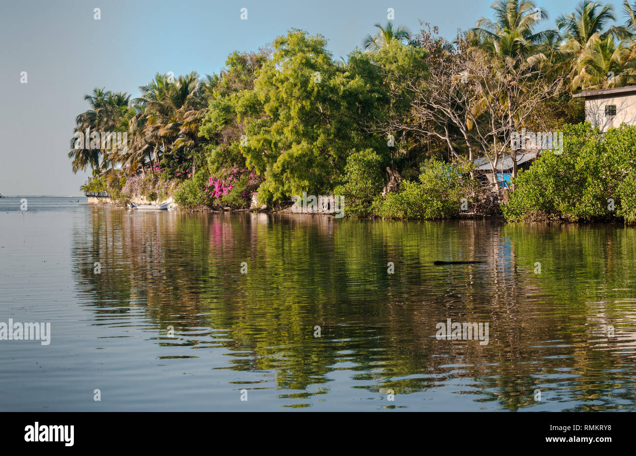 Beau littoral des Ghâts occidentaux de l'Inde du Sud. Celui-ci étant les backwaters/lagon. Si à la réflexion sur la mer envoûtante à l'horizon. Banque D'Images