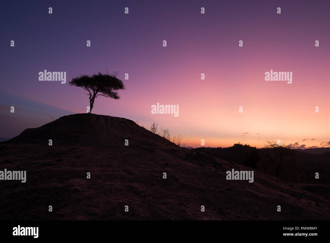 Silhouette d'un arbre isolé sur une colline, l'Indonésie Banque D'Images