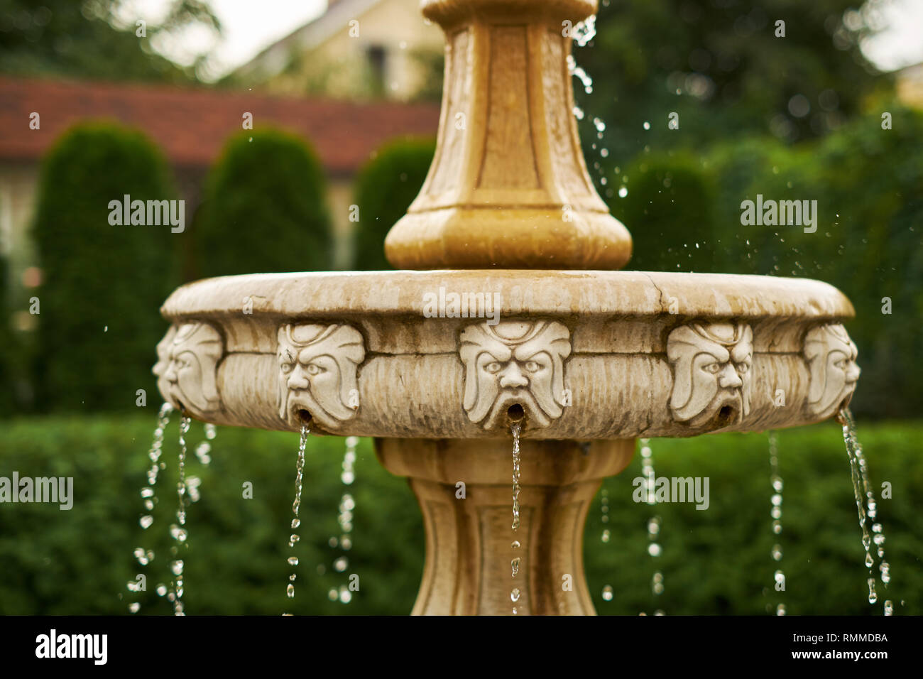 Un peu de cascade dans les gouttes de jardin Banque D'Images