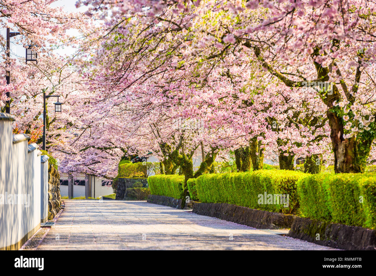 Shizuoka, Japon vieille ville streetts au printemps en printemps. Banque D'Images