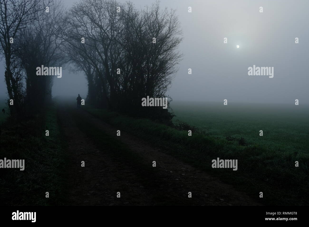 Femme marchant le long d'une route bordées dans la brume, Deux-Sèvres, Niort, France Banque D'Images